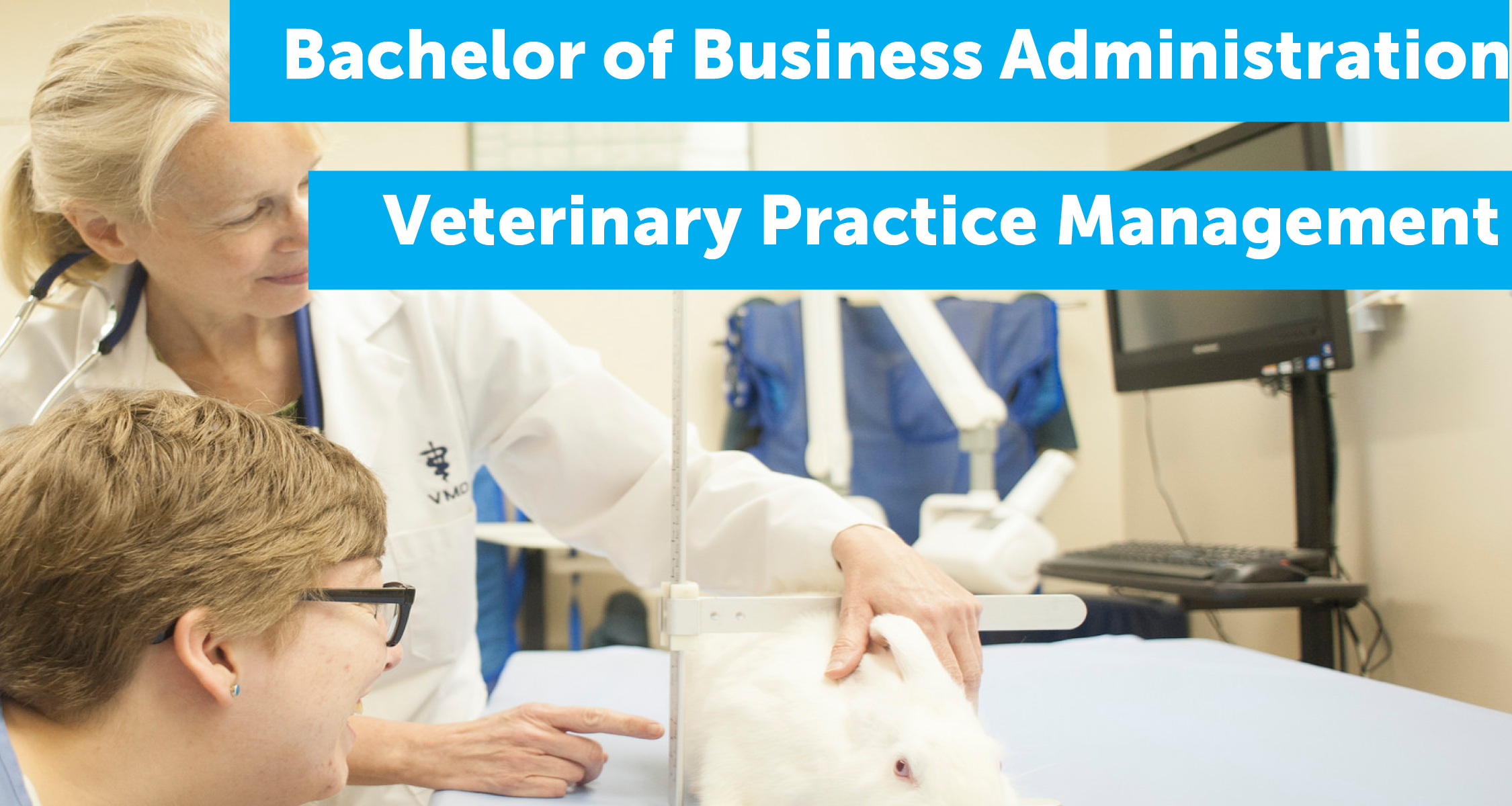 Manor college now offers a B.B.A in Veterinary Practice Management. 