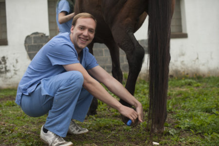 Manor College vet tech students work with horses