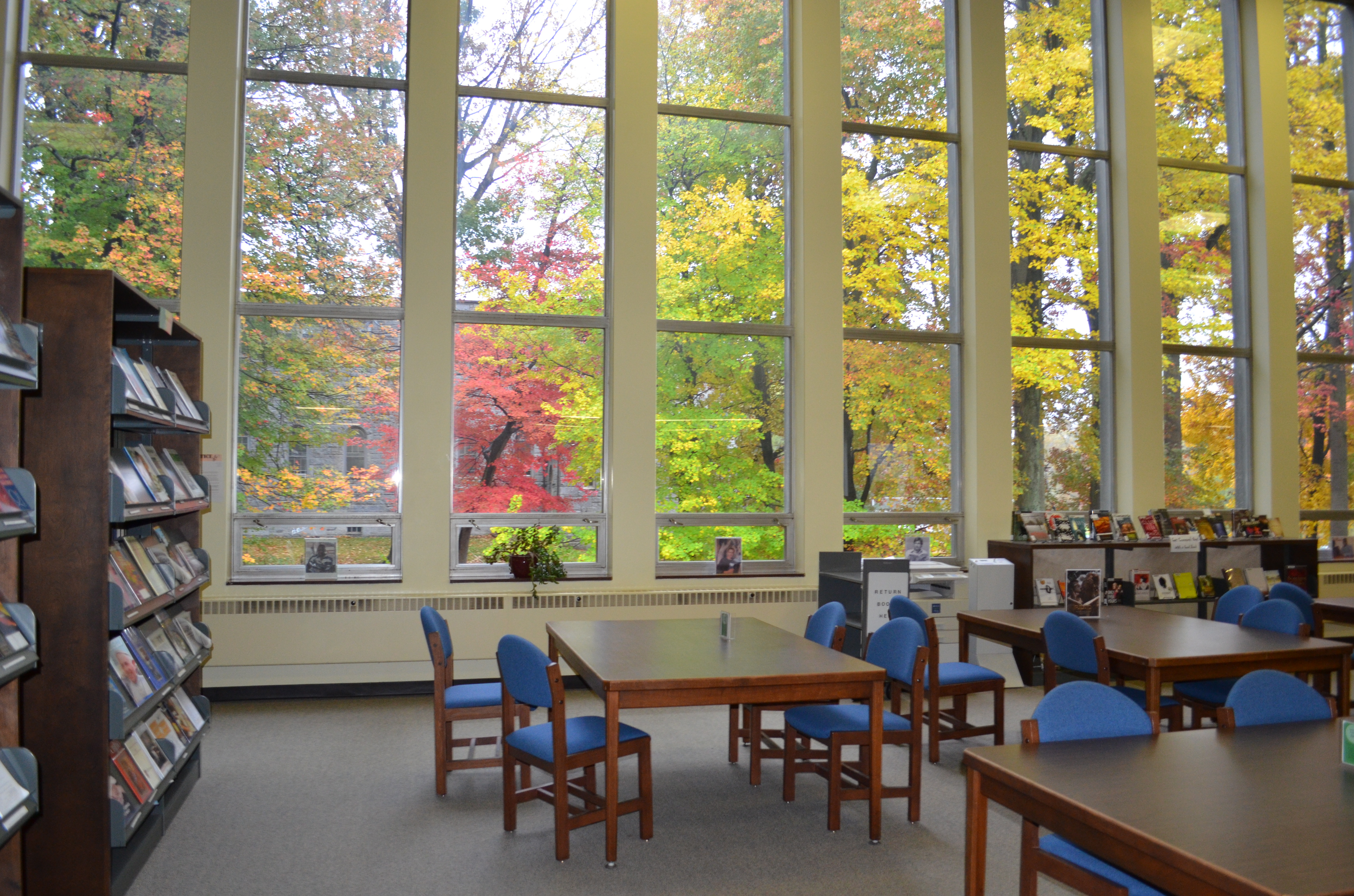 library at Manor College