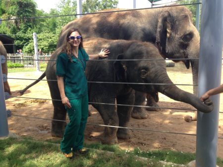 Manor graduate works with elephants