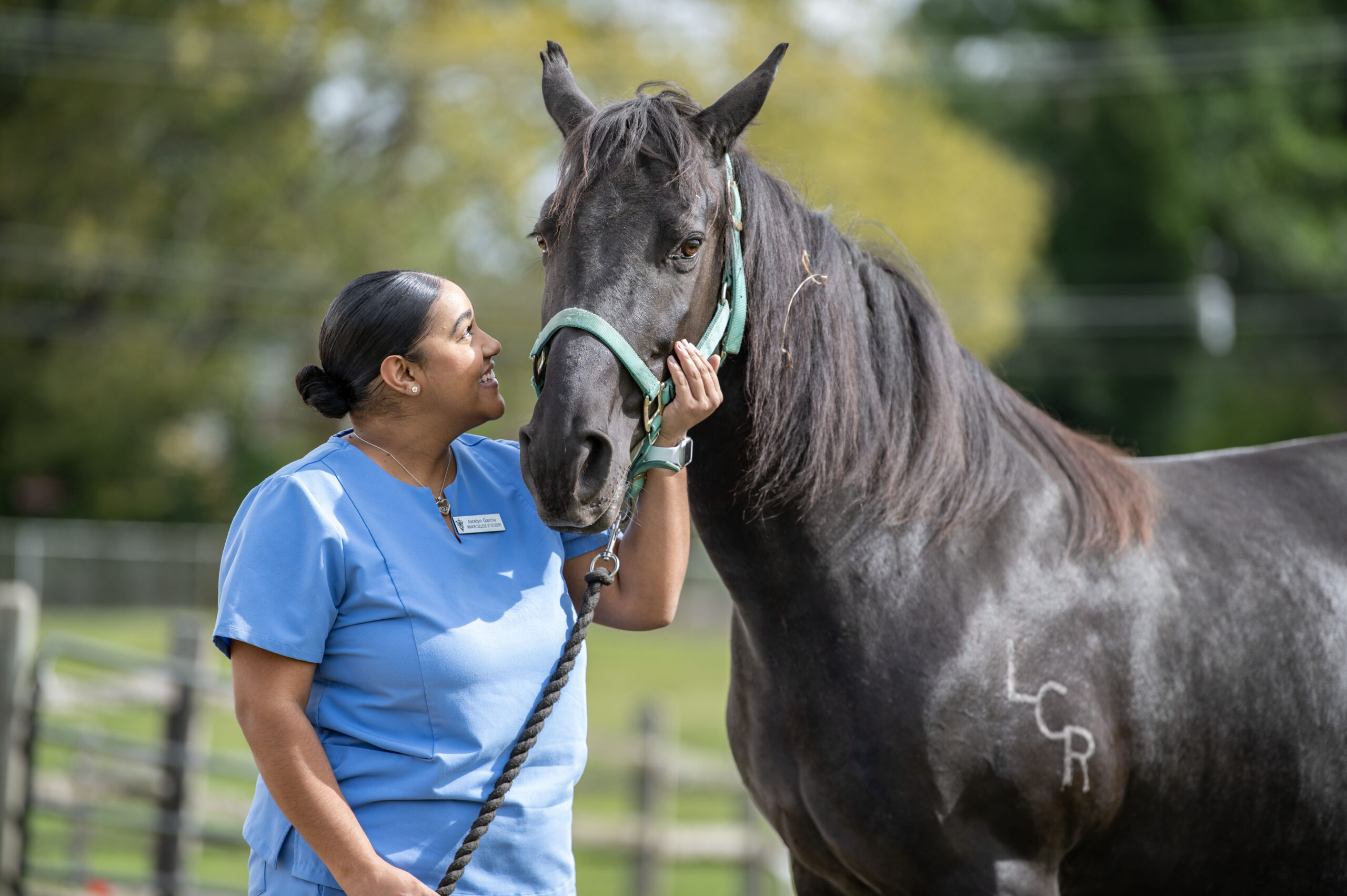 A woman holds the reigns of a black horse.