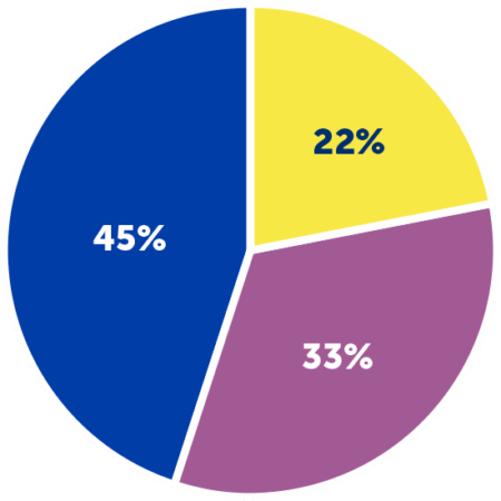 Empower 2030 pie graph - Estimate of Fund Use by Core Area